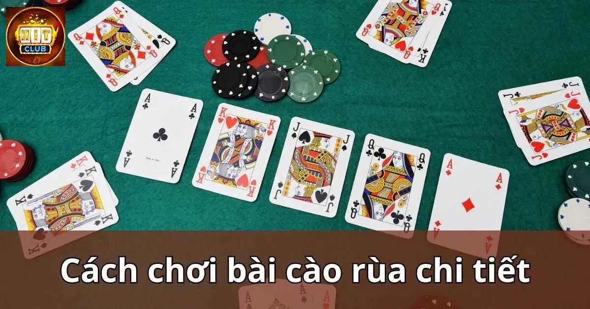 Cách chơi bài cào rùa tiêu chuẩn cho tân binh