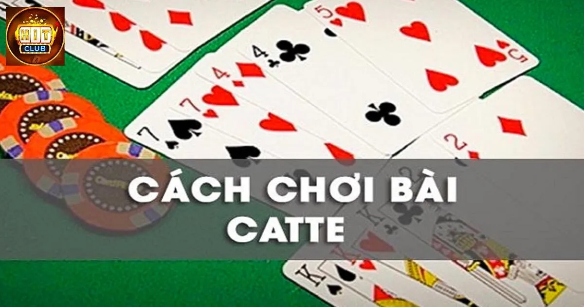 Cách chơi bài Catte chi tiết