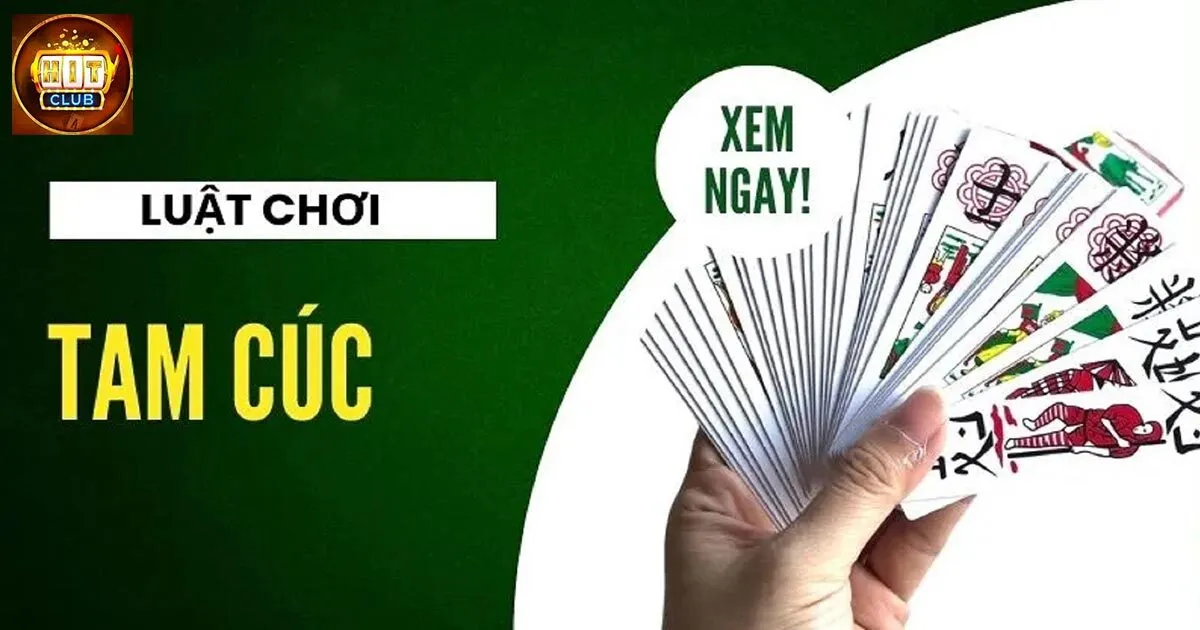 Tổng hợp cách chơi bài tam cúc từ A đến Z cho người mới